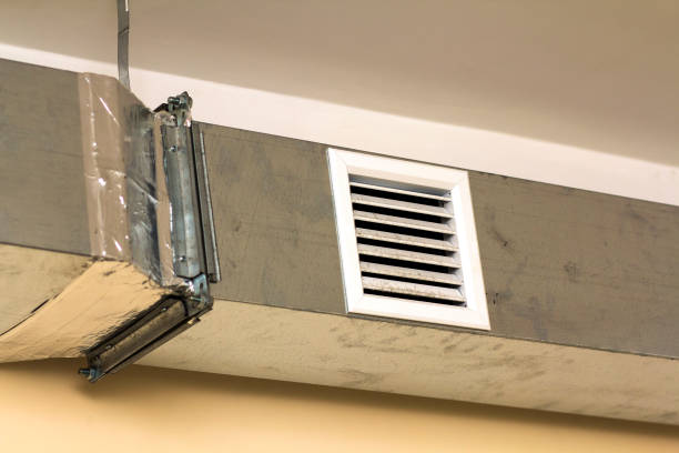 Best Home Air Vent Cleaning  in Panacea, FL